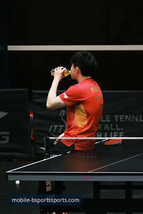 宁忠岩破纪录夺金背后：BSports手机版观赛体验深度解析