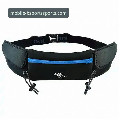 BSports安卓版下载使用指南详解